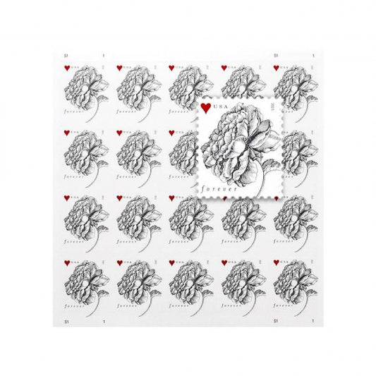 (100) 2015 VINTAGE ROSE WEDDING FOREVER POSTAGE STAMPS - 5 SHEETS OF 20